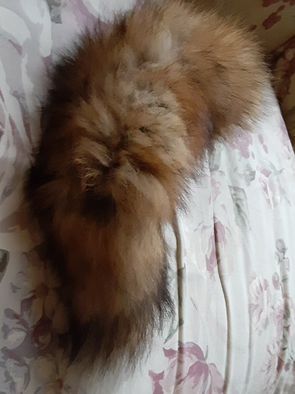 Fox Tail Real Fur - Picture 2 of 3